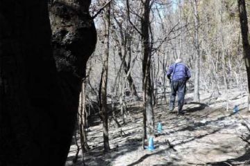 El informe pericial concluyó que el incendio de Epuyén fue intencional