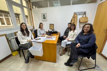 Cómo denunciar el maltrato de animales en Trevelin