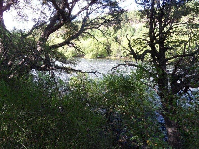 Vista_del_ro_desde_el_Pinar_de_la_Rivera