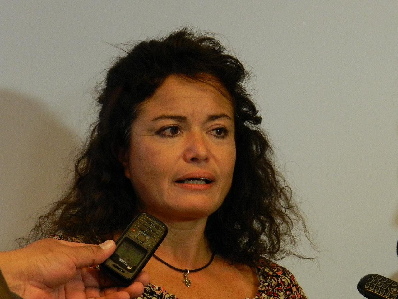 Fiscal Marcela Perez