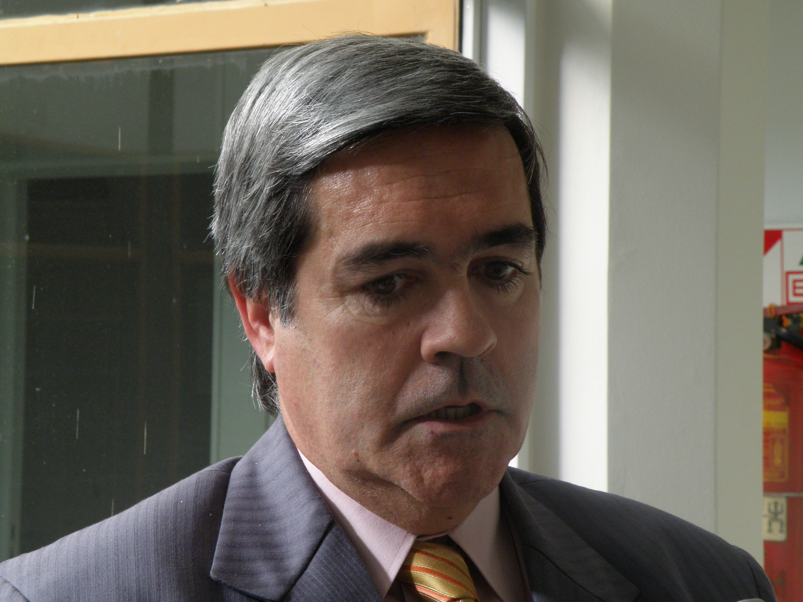 Miquelarena