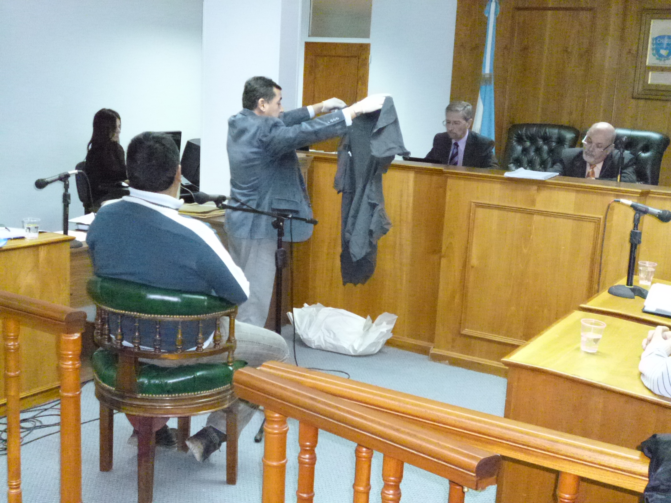 Exhibición de elementos ante el tribunal